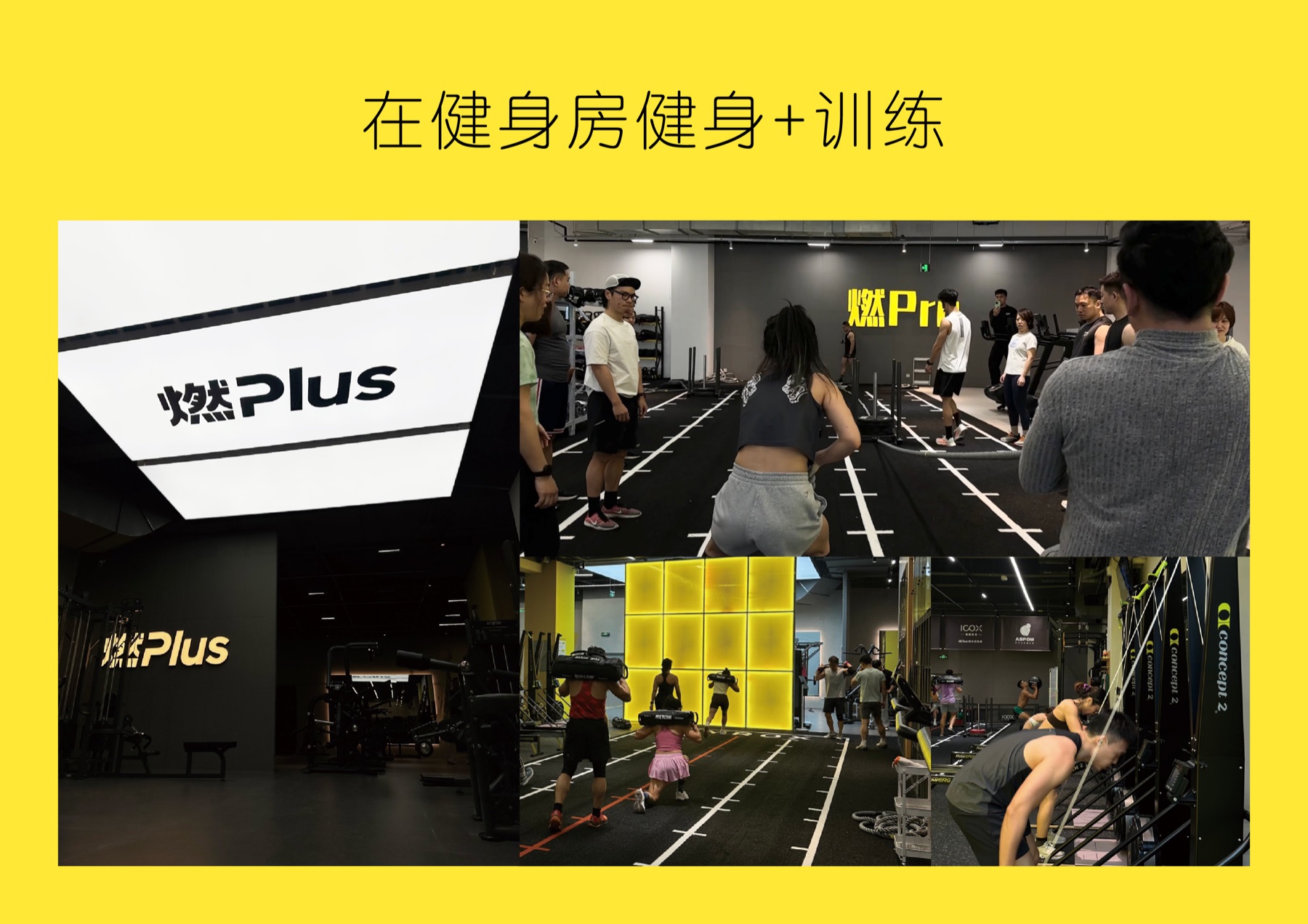 燃Plus品牌资料第5页