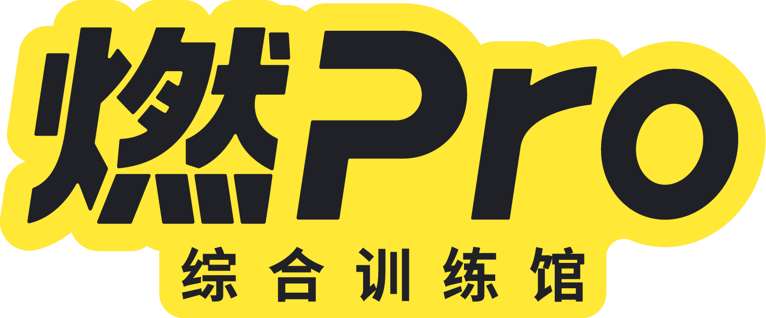 燃Pro 标志