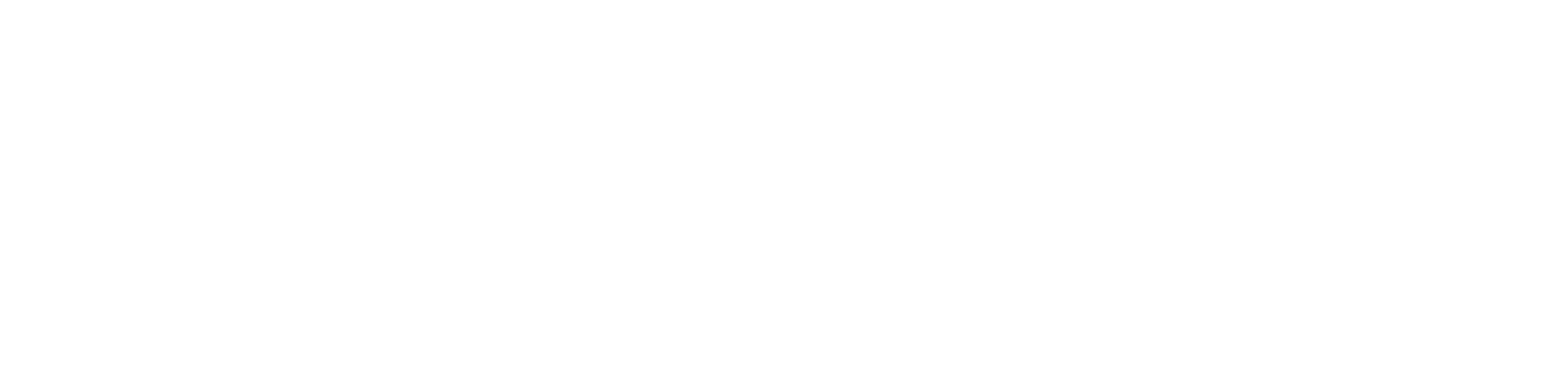 燃Plus